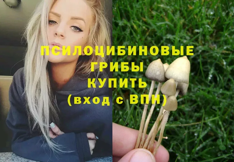 Галлюциногенные грибы MAGIC MUSHROOMS  Батайск 